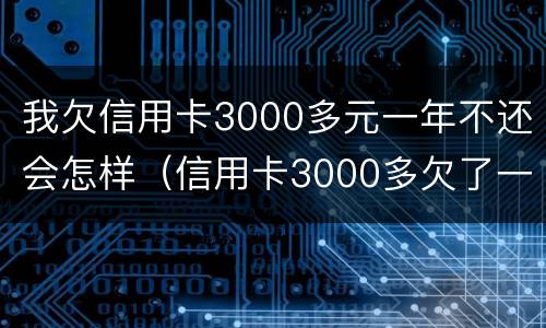 我欠信用卡3000多元一年不还会怎样（信用卡3000多欠了一年会被起诉吗）