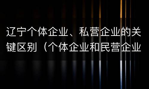 辽宁个体企业、私营企业的关键区别（个体企业和民营企业的区别）