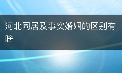 河北同居及事实婚姻的区别有啥