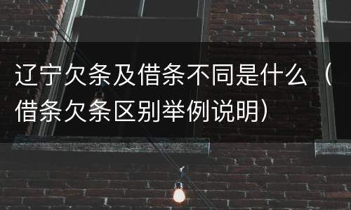 辽宁欠条及借条不同是什么（借条欠条区别举例说明）