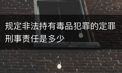 规定非法持有毒品犯罪的定罪刑事责任是多少