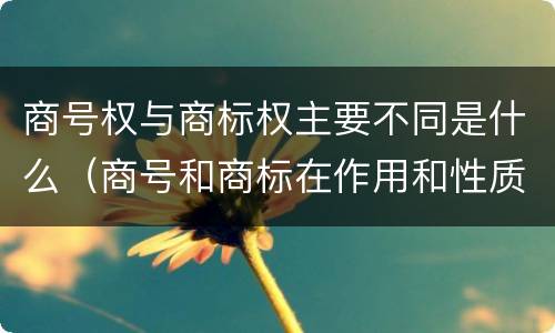 商号权与商标权主要不同是什么（商号和商标在作用和性质上有较大区别）