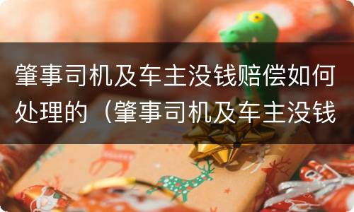 肇事司机及车主没钱赔偿如何处理的（肇事司机及车主没钱赔偿如何处理的案例）