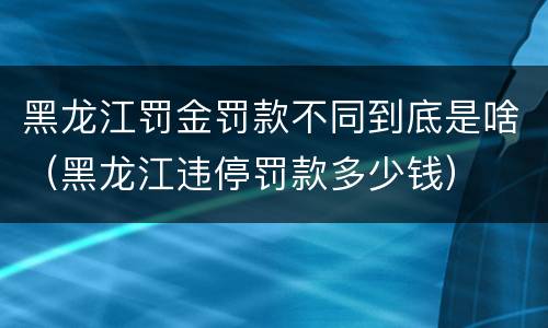 黑龙江罚金罚款不同到底是啥（黑龙江违停罚款多少钱）