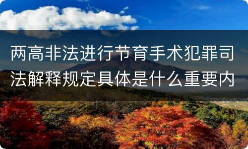 两高非法进行节育手术犯罪司法解释规定具体是什么重要内容