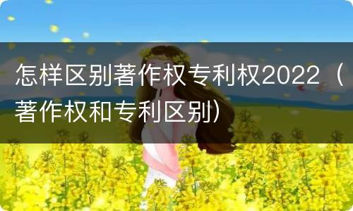 怎样区别著作权专利权2022（著作权和专利区别）