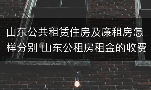 山东公共租赁住房及廉租房怎样分别 山东公租房租金的收费标准