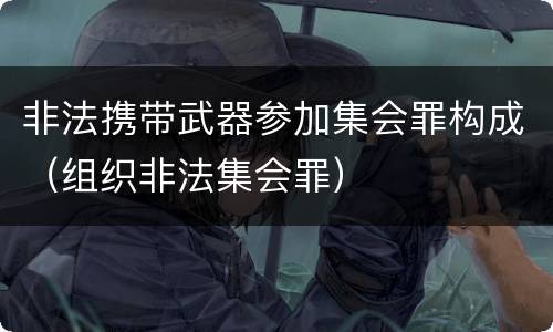 非法携带武器参加集会罪构成（组织非法集会罪）