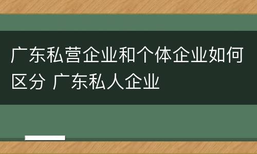 广东私营企业和个体企业如何区分 广东私人企业