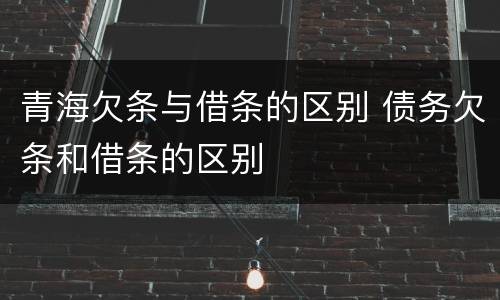 青海欠条与借条的区别 债务欠条和借条的区别