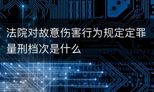 法院对故意伤害行为规定定罪量刑档次是什么