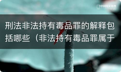 刑法非法持有毒品罪的解释包括哪些（非法持有毒品罪属于什么犯罪类型）