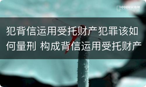 犯背信运用受托财产犯罪该如何量刑 构成背信运用受托财产罪的立案标准是