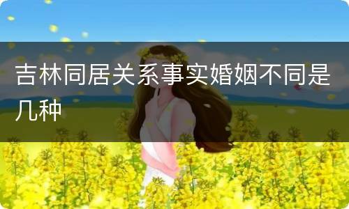 吉林同居关系事实婚姻不同是几种