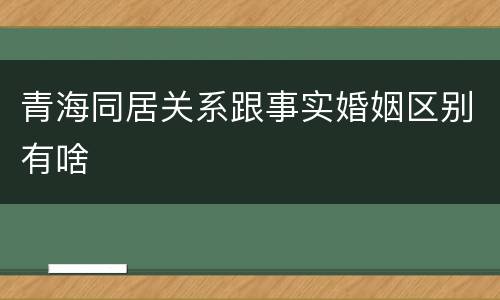 青海同居关系跟事实婚姻区别有啥