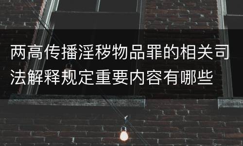 两高传播淫秽物品罪的相关司法解释规定重要内容有哪些