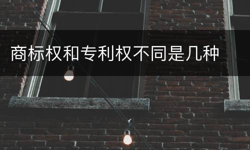 商标权和专利权不同是几种