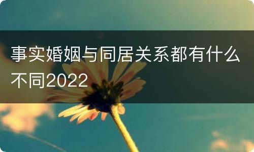 事实婚姻与同居关系都有什么不同2022