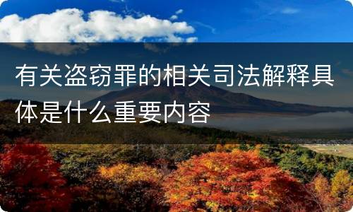 有关盗窃罪的相关司法解释具体是什么重要内容