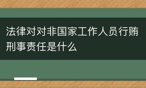 法律对对非国家工作人员行贿刑事责任是什么