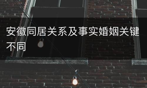 安徽同居关系及事实婚姻关键不同