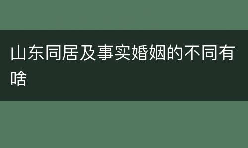 山东同居及事实婚姻的不同有啥