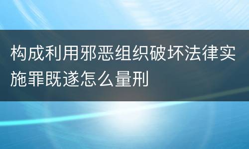 构成利用邪恶组织破坏法律实施罪既遂怎么量刑