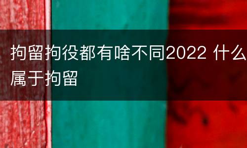 拘留拘役都有啥不同2022 什么属于拘留