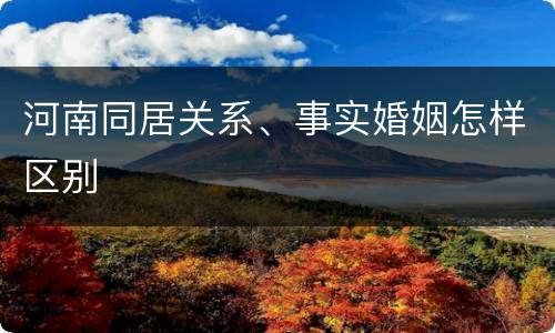 河南同居关系、事实婚姻怎样区别