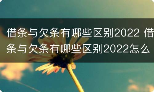 借条与欠条有哪些区别2022 借条与欠条有哪些区别2022怎么写