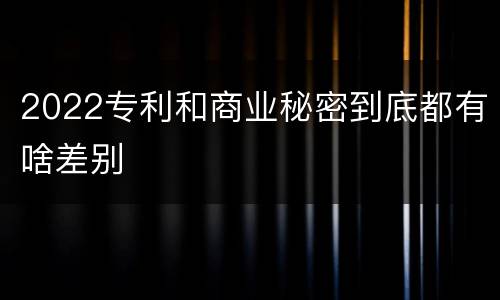 2022专利和商业秘密到底都有啥差别