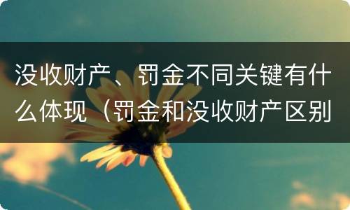 没收财产、罚金不同关键有什么体现（罚金和没收财产区别）