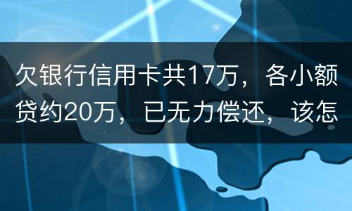 欠银行信用卡共17万，各小额贷约20万，已无力偿还，该怎么办