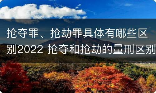 抢夺罪、抢劫罪具体有哪些区别2022 抢夺和抢劫的量刑区别