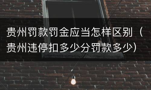 贵州罚款罚金应当怎样区别（贵州违停扣多少分罚款多少）