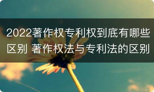 2022著作权专利权到底有哪些区别 著作权法与专利法的区别