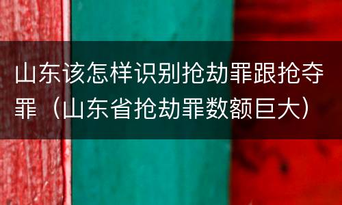 山东该怎样识别抢劫罪跟抢夺罪（山东省抢劫罪数额巨大）