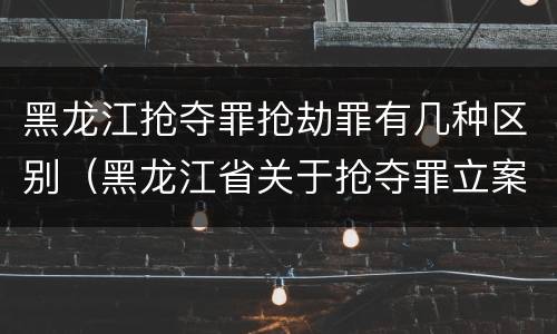 黑龙江抢夺罪抢劫罪有几种区别（黑龙江省关于抢夺罪立案标准）