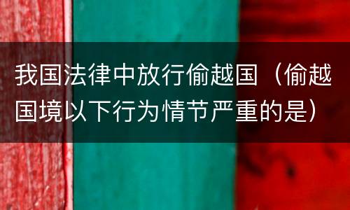 我国法律中放行偷越国（偷越国境以下行为情节严重的是）