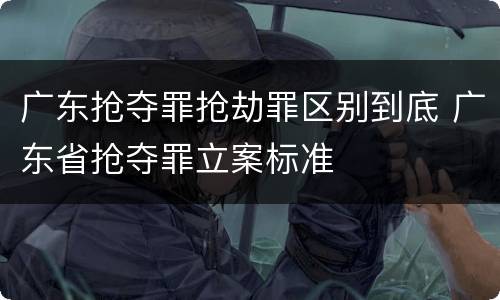 广东抢夺罪抢劫罪区别到底 广东省抢夺罪立案标准