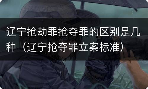 辽宁抢劫罪抢夺罪的区别是几种（辽宁抢夺罪立案标准）