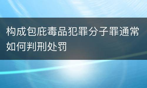 构成包庇毒品犯罪分子罪通常如何判刑处罚