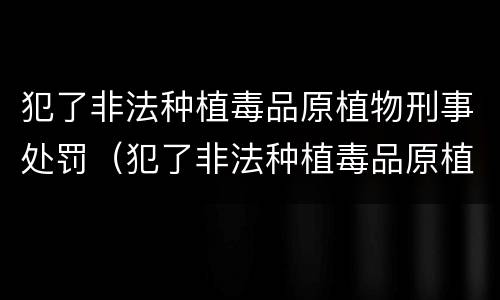 犯了非法种植毒品原植物刑事处罚（犯了非法种植毒品原植物刑事处罚标准）