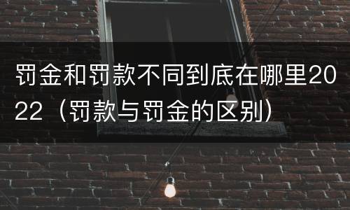 罚金和罚款不同到底在哪里2022（罚款与罚金的区别）