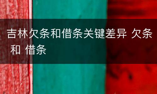 吉林欠条和借条关键差异 欠条 和 借条