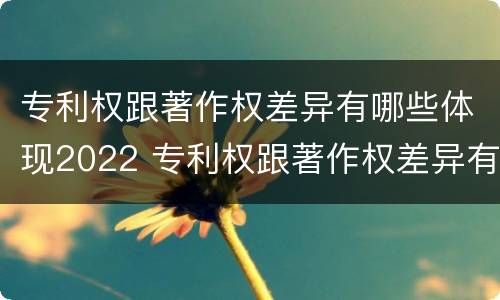 专利权跟著作权差异有哪些体现2022 专利权跟著作权差异有哪些体现2022年的