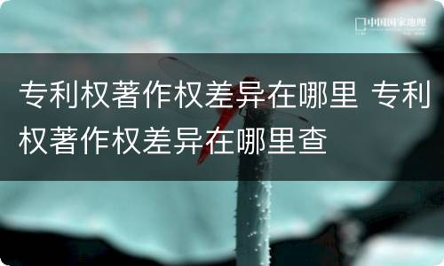 专利权著作权差异在哪里 专利权著作权差异在哪里查