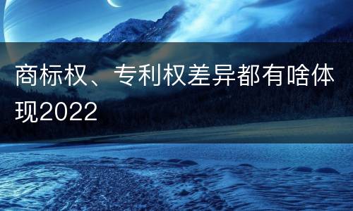 商标权、专利权差异都有啥体现2022