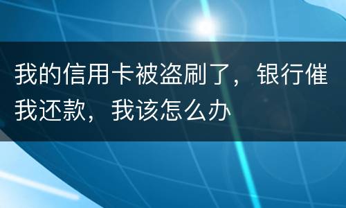 我的信用卡被盗刷了，银行催我还款，我该怎么办