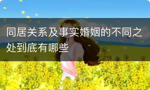 同居关系及事实婚姻的不同之处到底有哪些